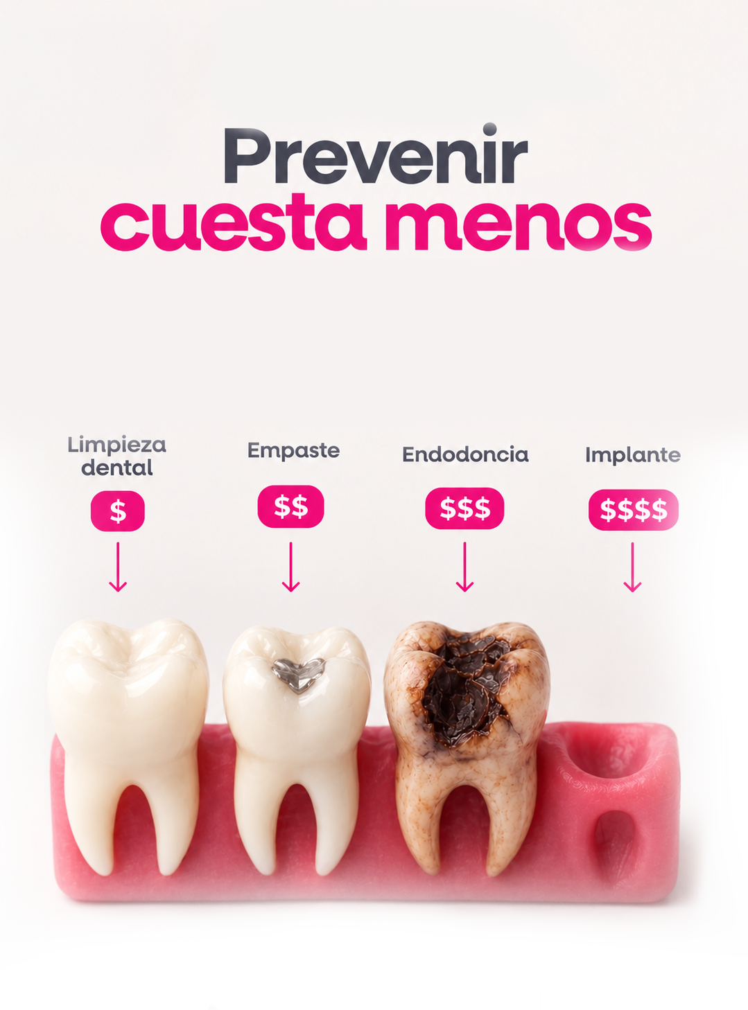 Proyecto showcase 3